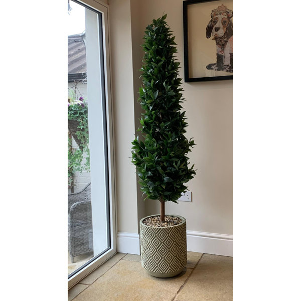 The Seasonal Aisle 190Cm Faux Bay Tree in Cement Pot Wayfair.co.uk